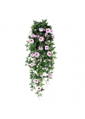 Pianta di Petunia rampicante 100cm rosa