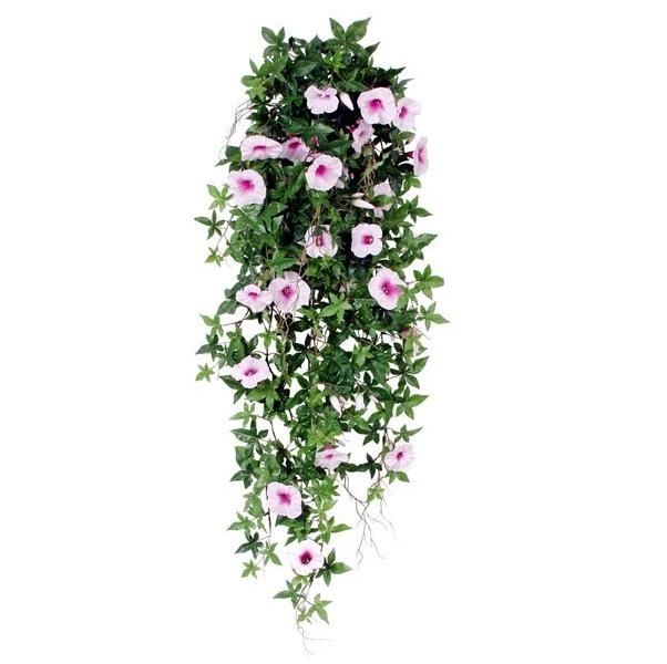 Pianta di Petunia rampicante 100cm rosa