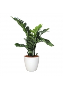Pianta artificiale di Zamioculcas 65 cm