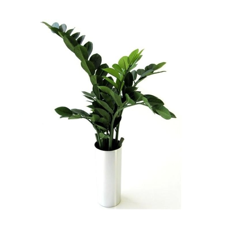 Pianta artificiale di Zamioculcas 65 cm