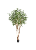 Artificiale Murraya Albero Deluxe 250cm in vaso