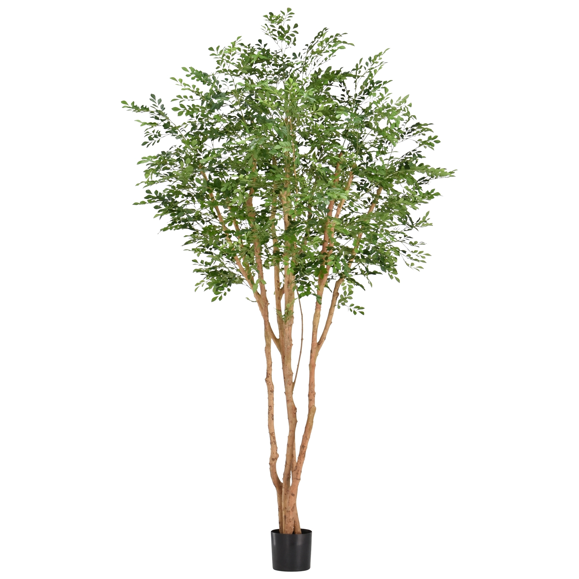 Artificiale Murraya Albero Deluxe 250cm in vaso