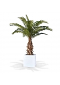 Palma artificiale Phoenix Canary XXL su base 300cm