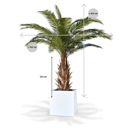 Palma artificiale Phoenix Canary XXL su base 300cm