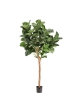 Artificiale Lyrata Deluxe Y Albero 220cm in vaso