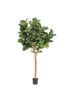 Artificiale Lyrata Deluxe Y Albero 220cm in vaso