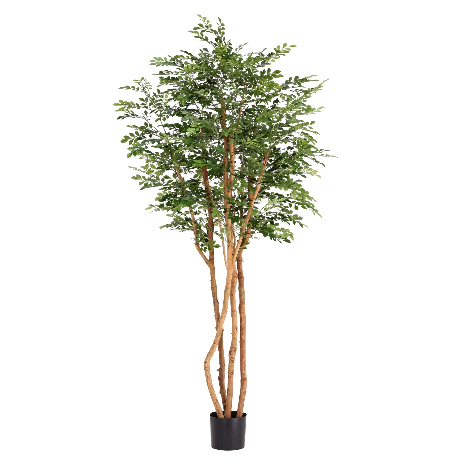 Artificiale Murraya Albero Deluxe 210cm in vaso