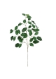 Ramo di Ficus FR Artificiale 77cm Verde