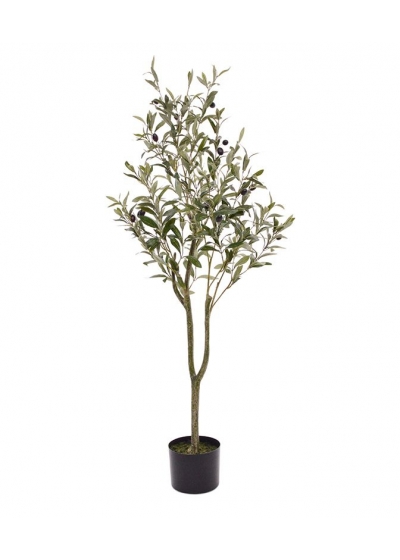 Ulivo d'arte promo 120cm