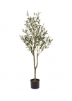 Ulivo d'arte promo 120cm