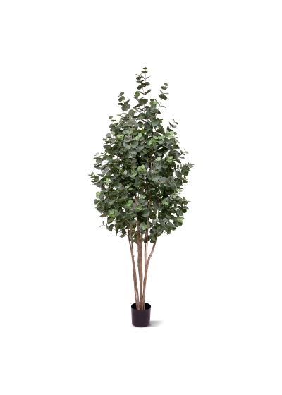 Albero artificiale di eucalipto 205 cm