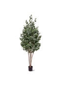 Albero artificiale di eucalipto 205 cm