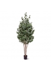 Albero artificiale di eucalipto 205 cm