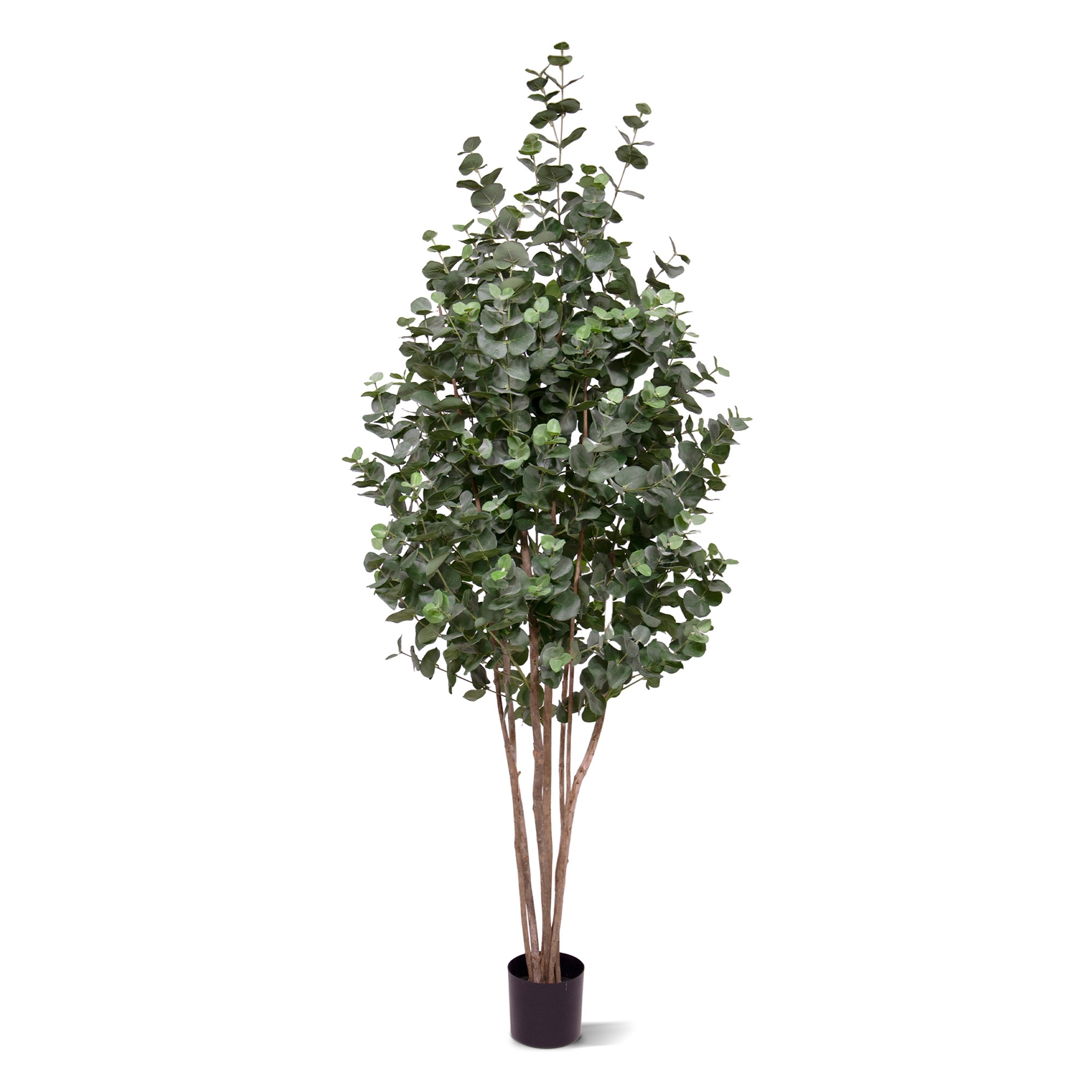 Albero artificiale di eucalipto 205 cm