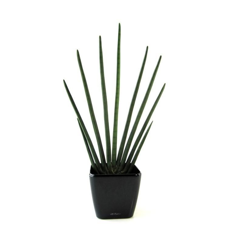 Sansevieria Cylindrica pianta artificiale 85 cm