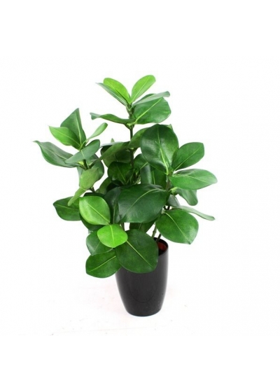 Clusia pianta artificiale 40cm in vaso 10cm