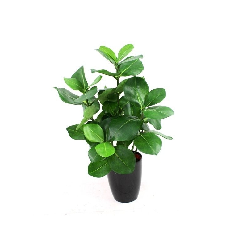 Clusia pianta artificiale 40cm in vaso 10cm