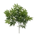Acero Acer ramo artificiale x57 FR