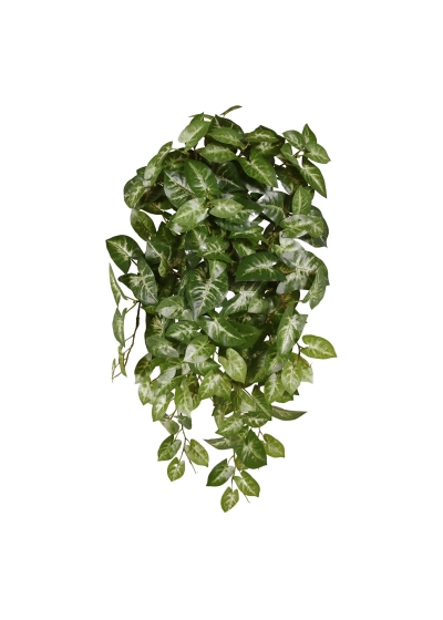 Syngonium Pianta artificiale ricadente 50 cm variegata