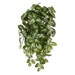 Syngonium Pianta artificiale ricadente 50 cm variegata