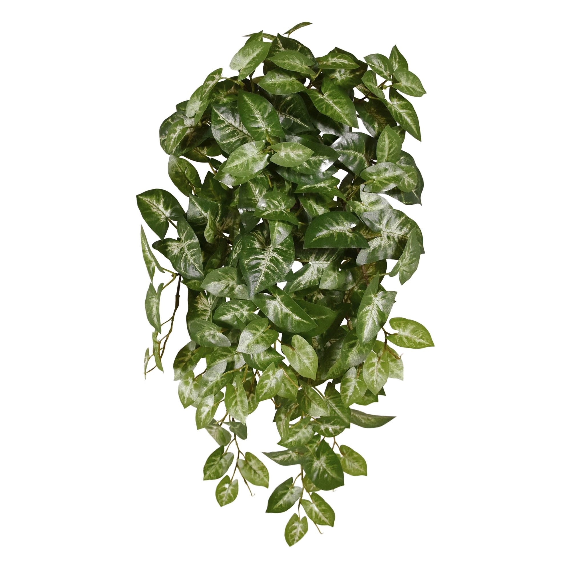 Syngonium Pianta artificiale ricadente 50 cm variegata