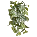 Scindapsus Pictus pianta ricadente artificiale Deluxe 50cm