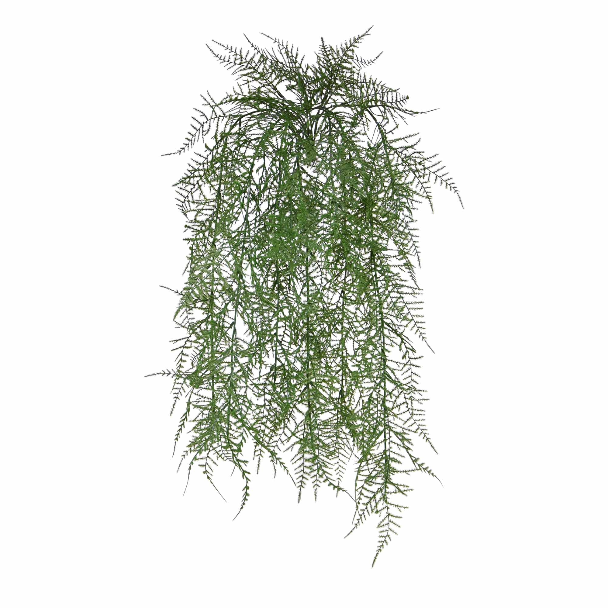 Asparago pianta artificiale da parete 60 cm