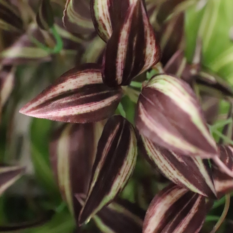 Tradescantia Pianta artificiale pendente viola 90 cm
