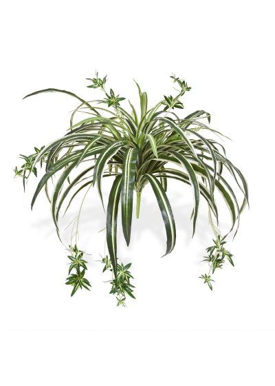 Pianta artificiale da appendere Chlorophytum 50 cm