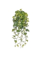 Philodendron Scandens Brasil pianta ricadente artificiale 80cm
