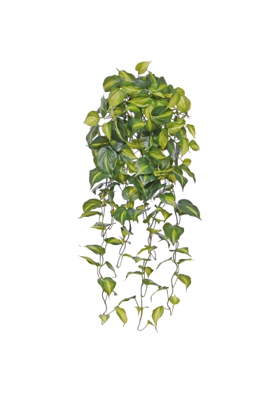 Philodendron Scandens Brasil pianta ricadente artificiale 80cm