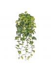 Philodendron Scandens Brasil pianta ricadente artificiale 80cm