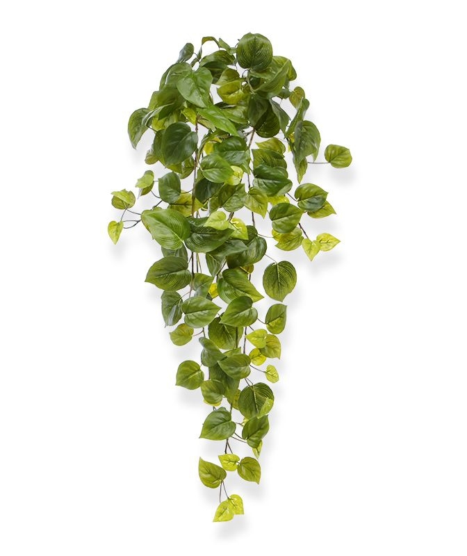 Filodendro artificiale sospeso 65 cm verde
