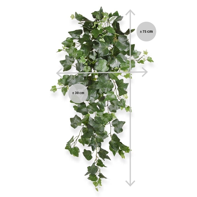 Edera Deluxe da appendere 75 cm verde