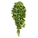 Scindapsus pianta artificiale ricadente 100 cm - variegato