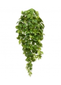 Scindapsus pianta artificiale ricadente 100 cm - variegato