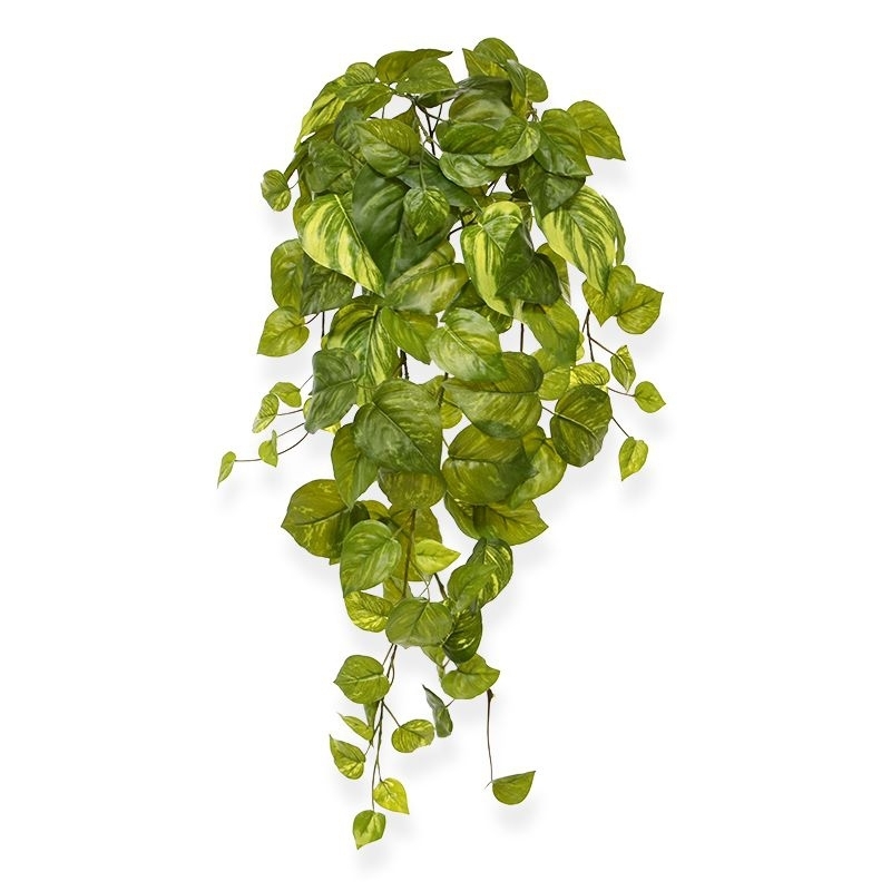 Pothos artificiale sospeso 55 cm varigato