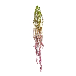 Mini Eucalipto pensile 60 cm bordeaux