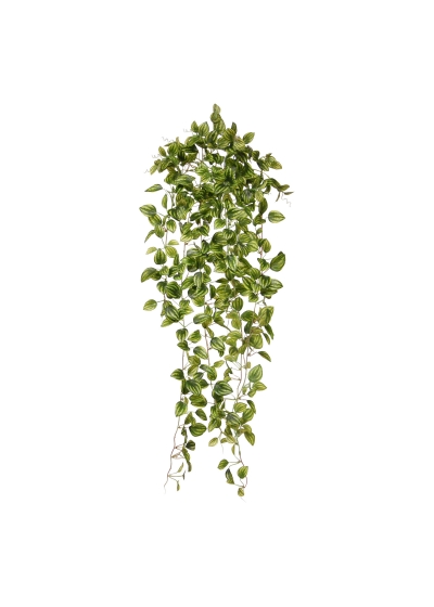 Peperomia Pianta artificiale ricadente variegata 90cm