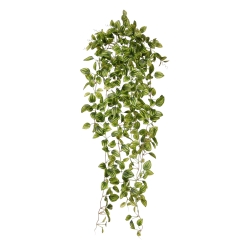 Peperomia Pianta artificiale ricadente variegata 90cm