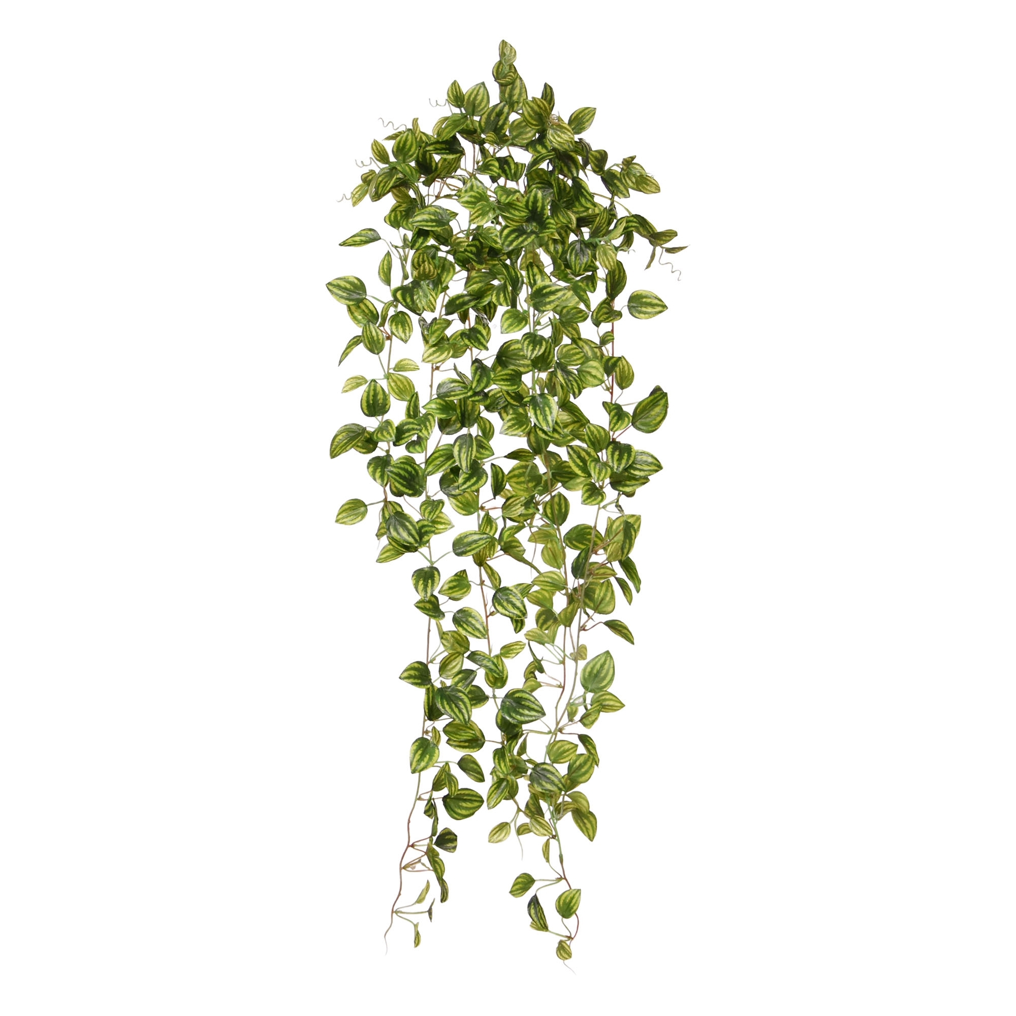 Peperomia Pianta artificiale ricadente variegata 90cm