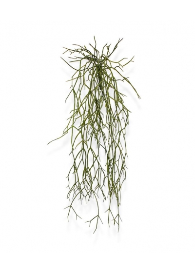 Pianta traente artificiale Rhipsalis Micrantha 55 cm