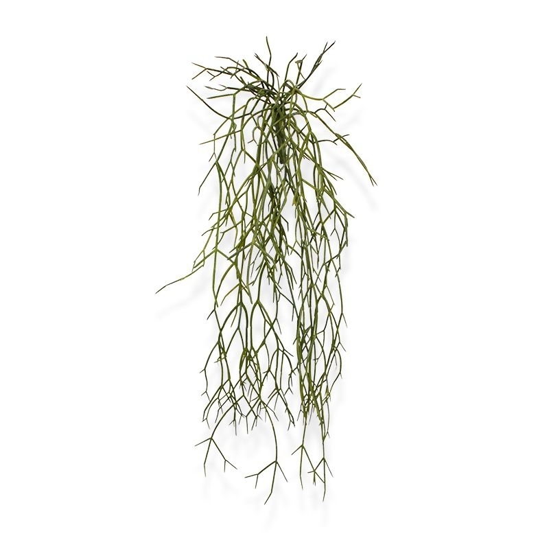 Pianta traente artificiale Rhipsalis Micrantha 55 cm
