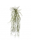 Pianta traente artificiale Rhipsalis Micrantha 55 cm