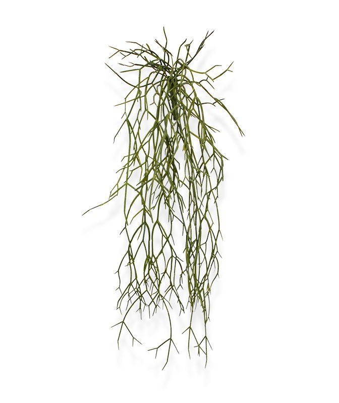 Pianta traente artificiale Rhipsalis Micrantha 55 cm