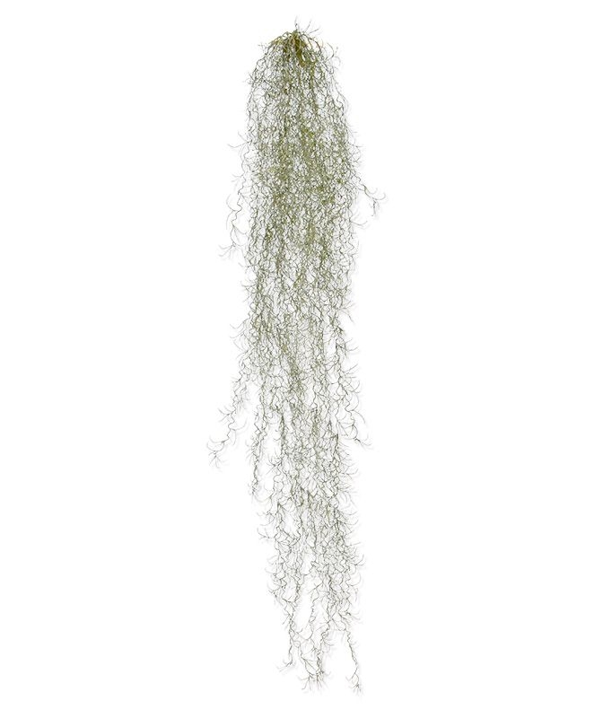 Tillandsia artificiale trailing plant deluxe 120 cm