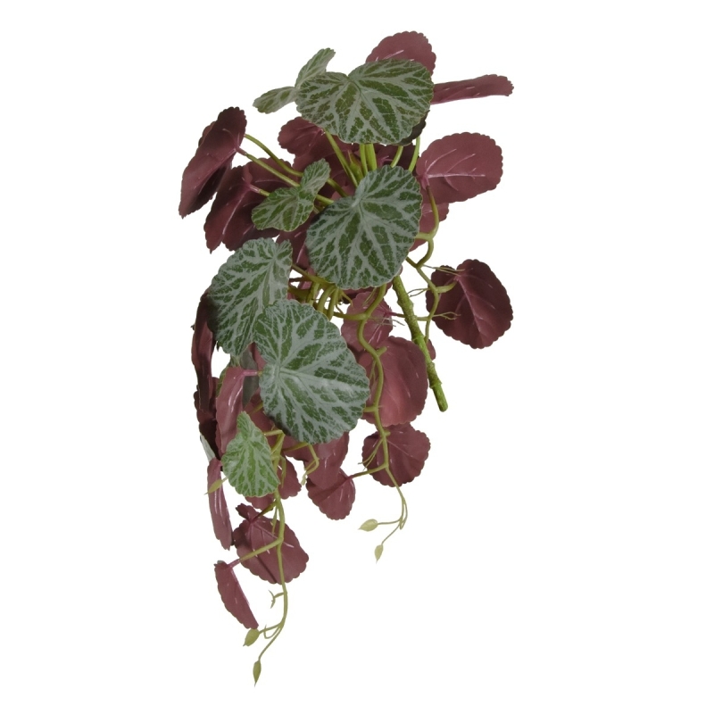 Saxifraga pendente verde/rosso 45 cm