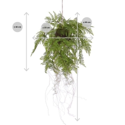 Composizione di felci artificiali a strascico di 35 cm su corda