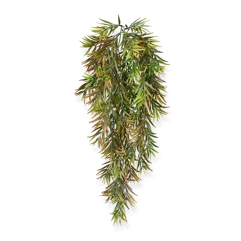 Asparago artificiale Spengeri, pianta rampicante 60 cm