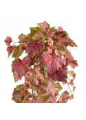 Ghirlanda artificiale di foglie d'uva 65 cm rosa